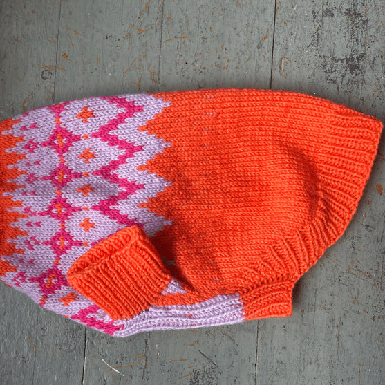 Bichon Havanais – Hundesweater
4