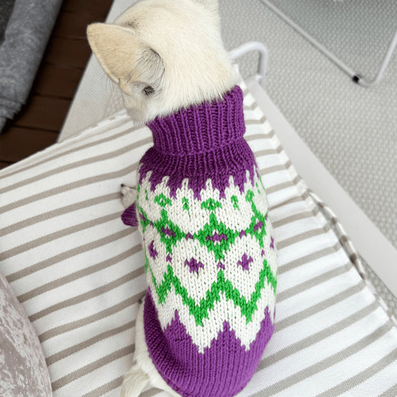Chihuahua – Hundesweater
2