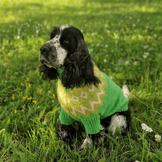 Cocker Spaniel – Hundesweater
2