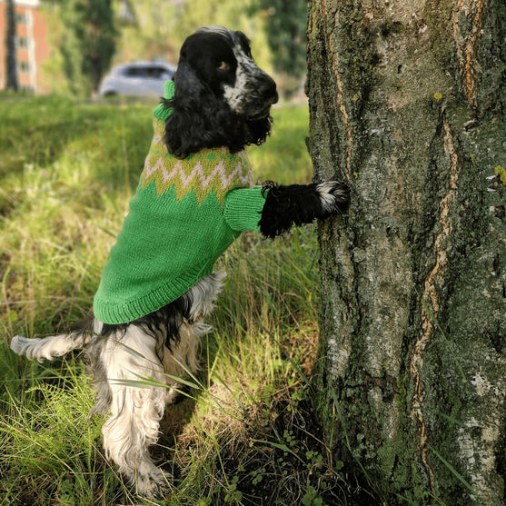 Cocker Spaniel – Hundesweater
3