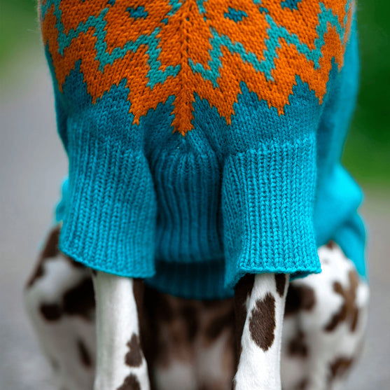Dalmatiner – Hundesweater
4
