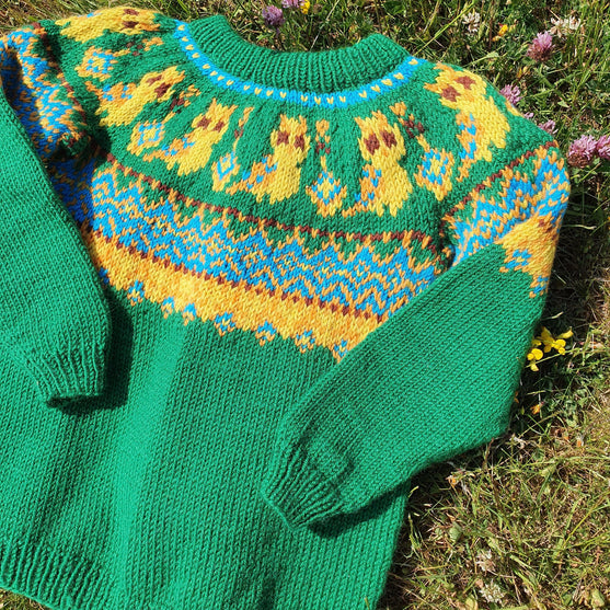 Silly Owl - Børnesweater
3