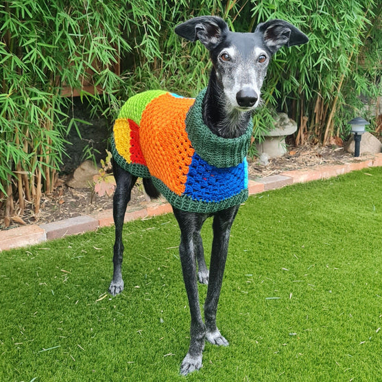Wally - Hundesweater
2