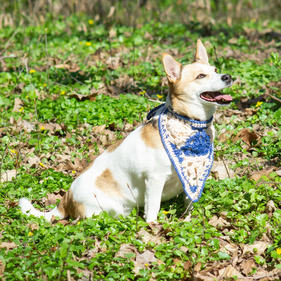 Gina - Hundebandana
2