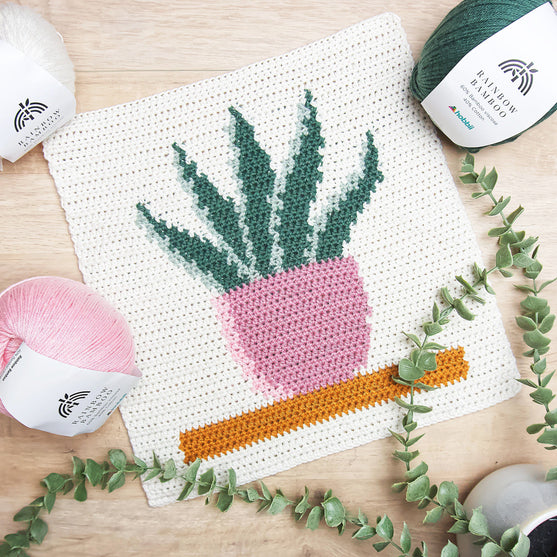 Snake Plant - Vægophæng
2