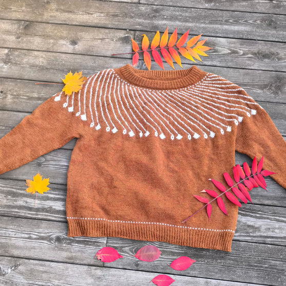 Shooting Star - Sweater
5