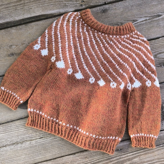 Shooting Star - Børnesweater
4