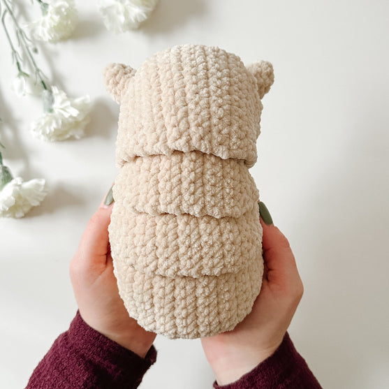 Bæltedyret Armando
3