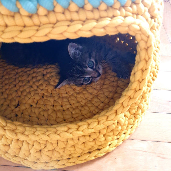 Purrfect - Kattehule
2