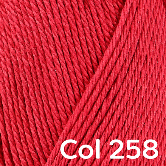 Catania - Schachenmayr
46