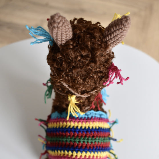 Alpacaen Pico
10