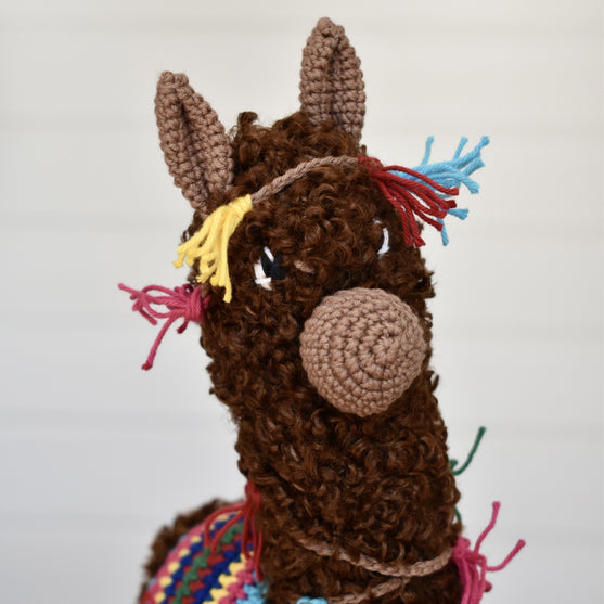 Alpacaen Pico
6