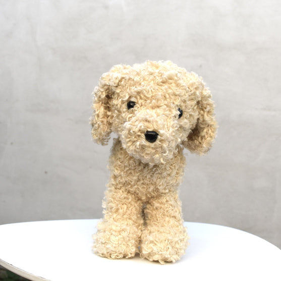 Doodle Dog
2
