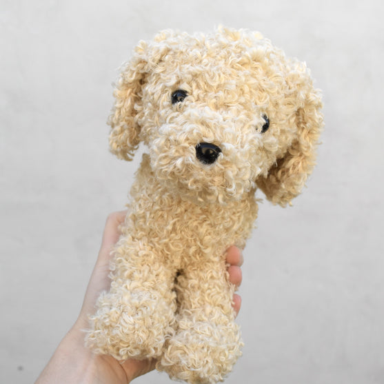 Doodle Dog
5