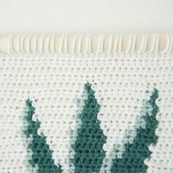 Snake Plant - Vægophæng
3