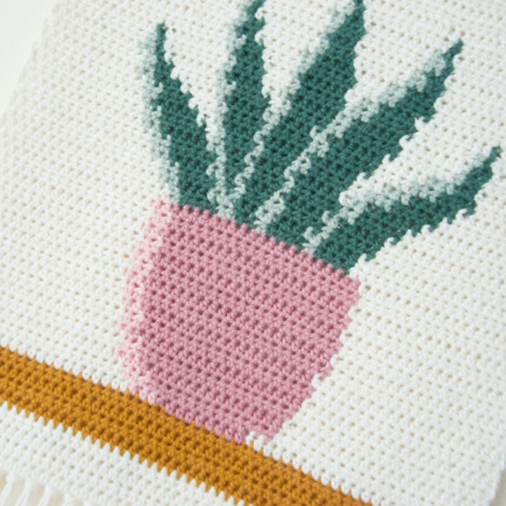 Snake Plant - Vægophæng
4