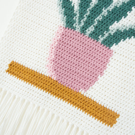 Snake Plant - Vægophæng
5