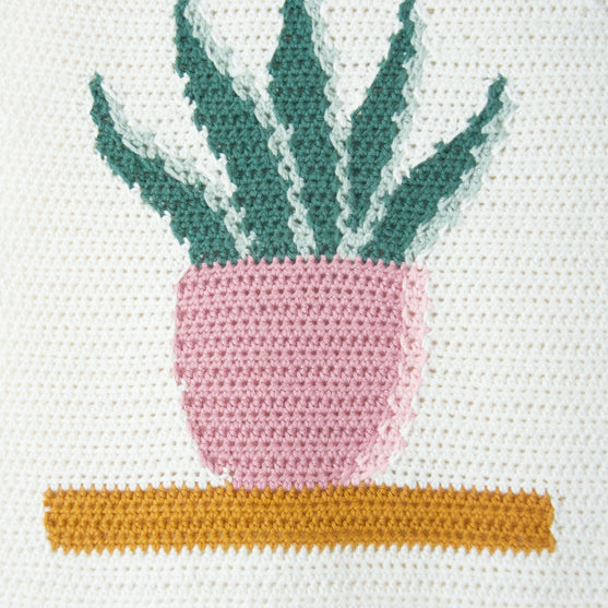 Snake Plant - Vægophæng
6