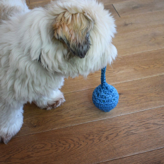 Haletudse - Hundelegetøj
4