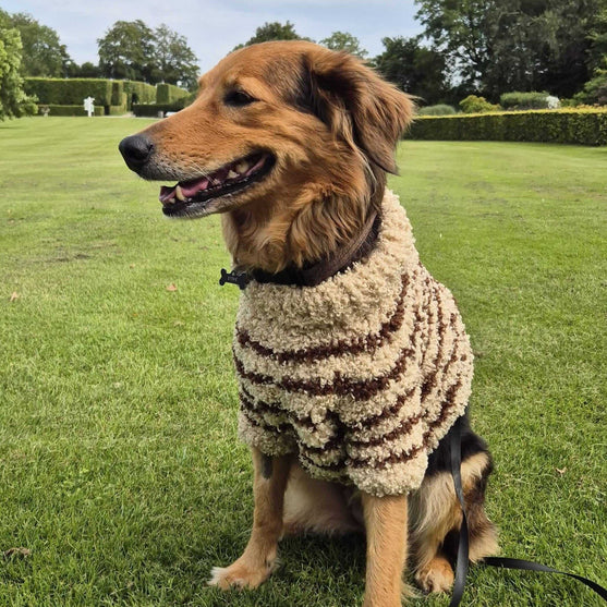 Stevie - Hundesweater
4