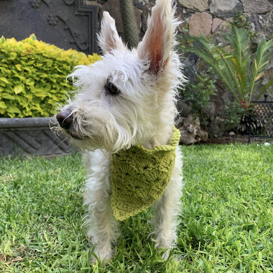 Cuddly Wrap - Hundebandana
4