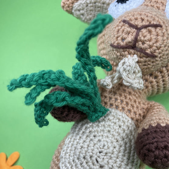 Stenbukken - Stjernetegn
6