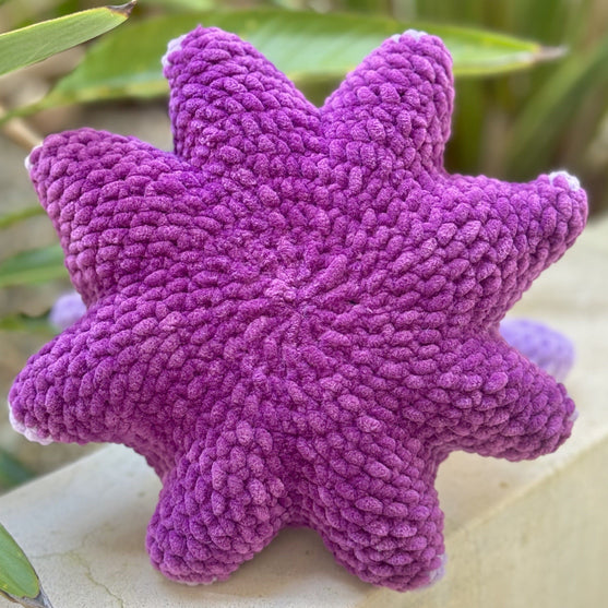 Paraplyblæksprutten Wade
4