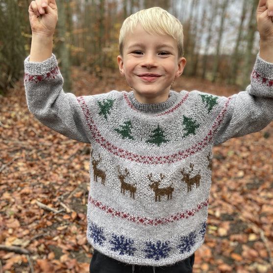 Holly Pines - Sweater Junior
2