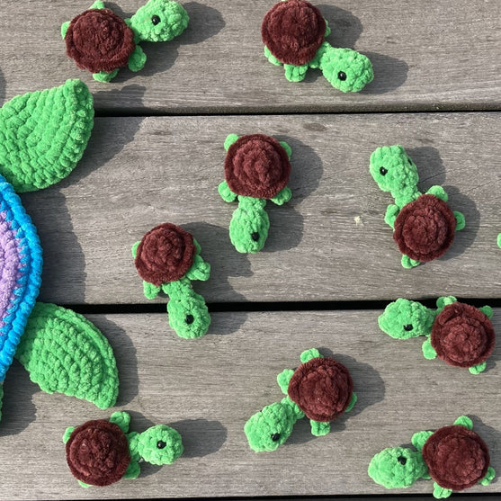 Rainbow Turtles - Huskespil
8