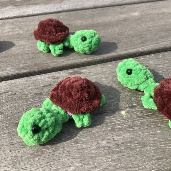 Rainbow Turtles - Huskespil
11