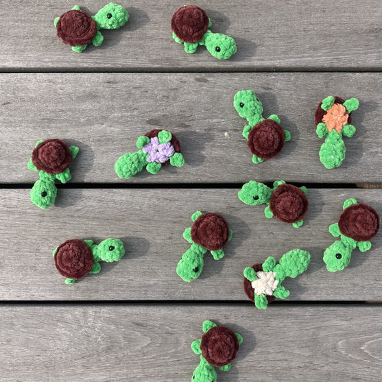 Rainbow Turtles - Huskespil
9