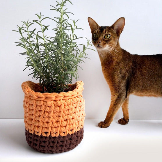 Keep It - Kurvesæt
7