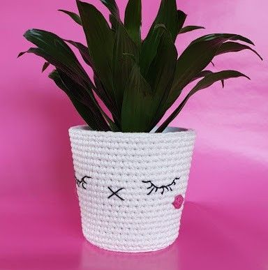 Kawaii Søde Krukker
3