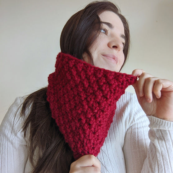 Gemini - Halsedisse
4