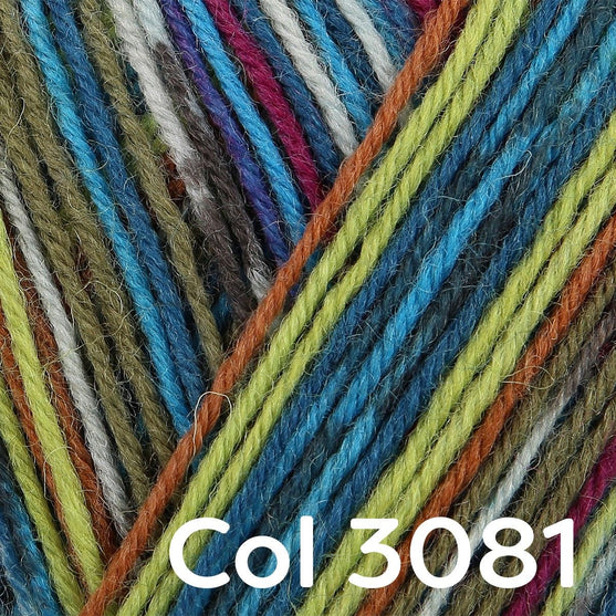 Regia 4-ply Color - Regia
23