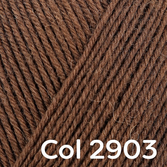 Regia 4-ply Uni - Regia
26