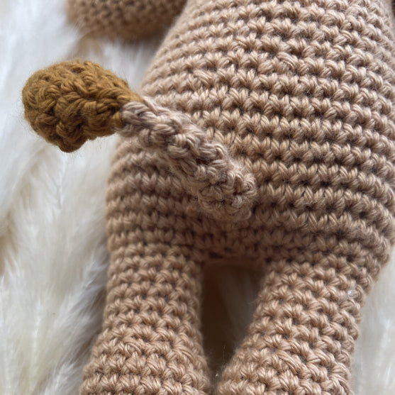 Løven - Stjernetegn
6