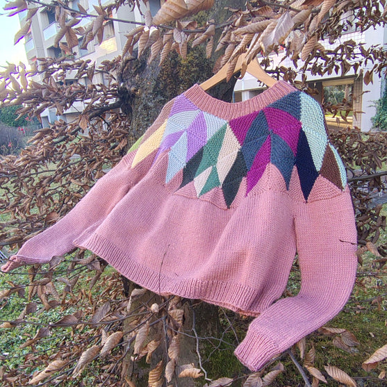

Intarsia – Sweater
2