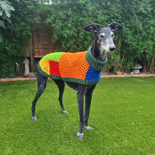 Wally - Hundesweater