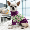 

Chihuahua – Hundesweater
1