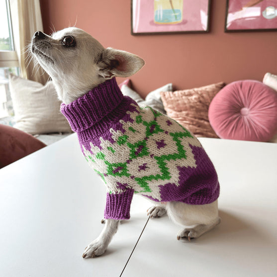 

Chihuahua – Hundesweater
3