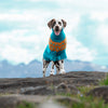 

Dalmatiner – Hundesweater
1