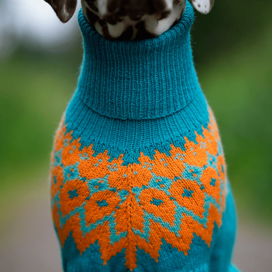 

Dalmatiner – Hundesweater
3
