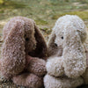 

Couture Bunnies
5