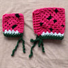 

Watermelon - Hue
5