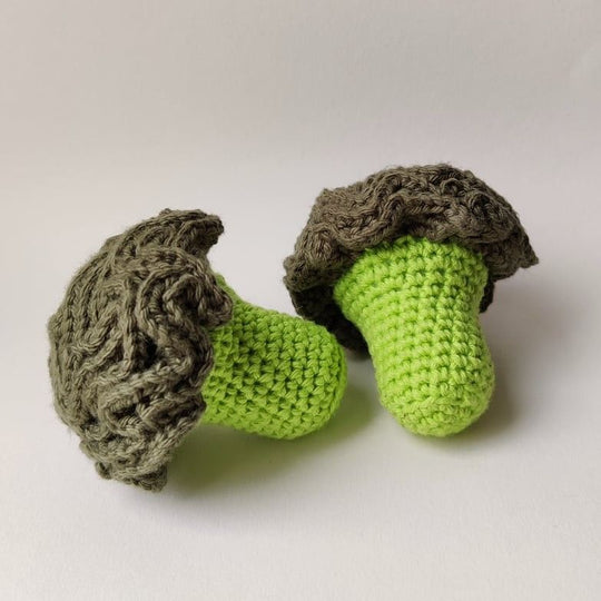 Broccoli - Legemad