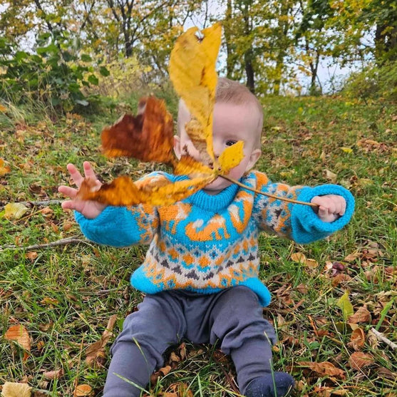 

Happy Fox - Børnesweater
2