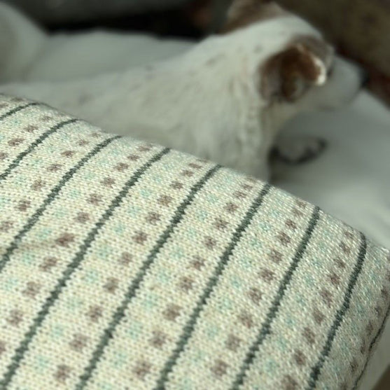 

Homebody - Pudebetræk
4