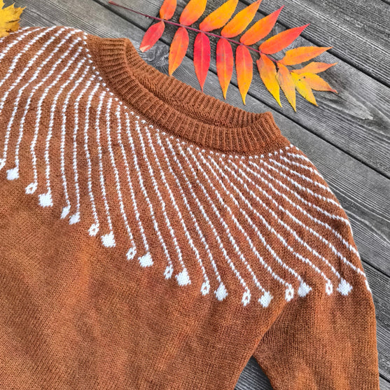 

Shooting Star - Sweater
6