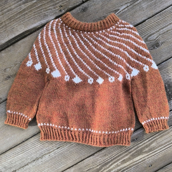

Shooting Star - Børnesweater
1